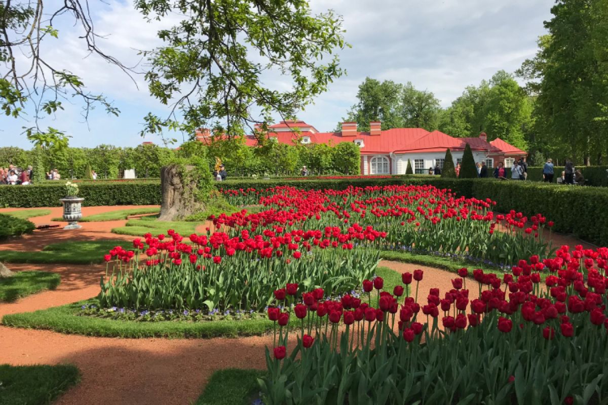 Экскурсия в Петергоф с фонтанами Нижнего парка