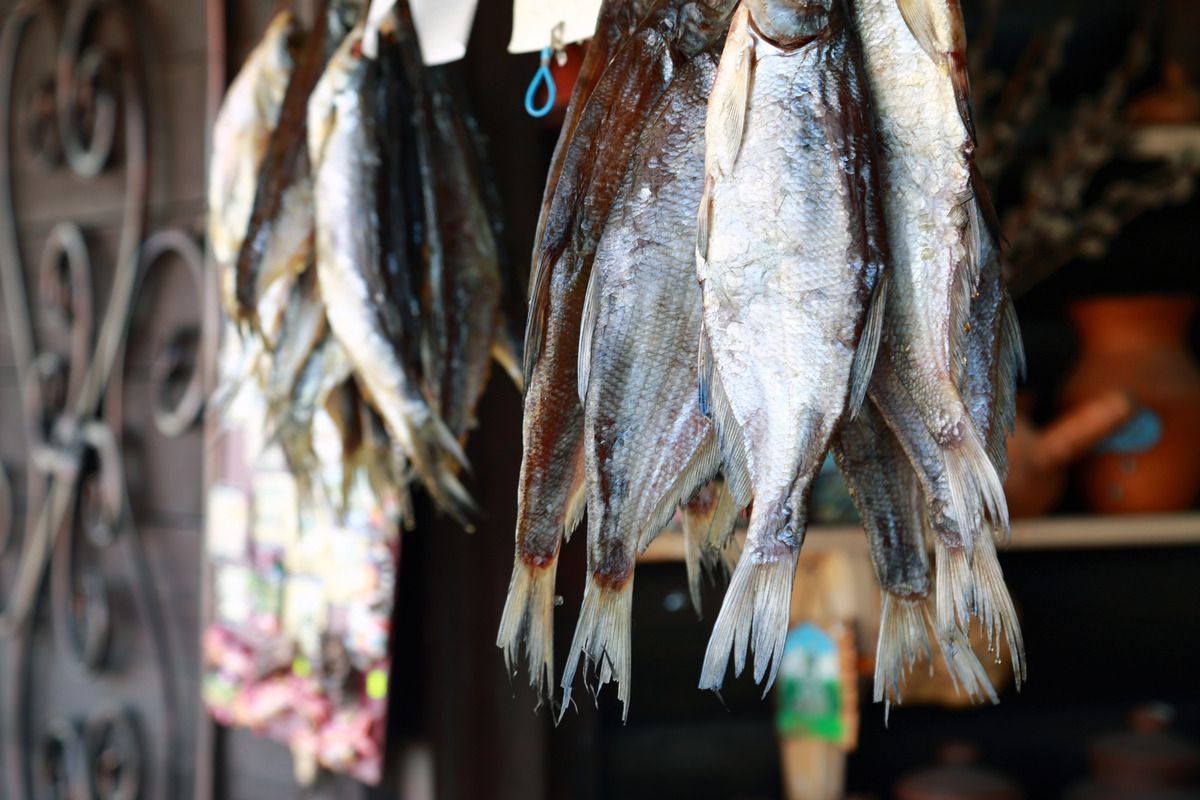 МСК 2026 «Казань каждый день!»  4 дня