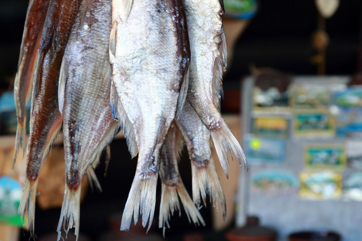 МСК 2026 «Казань каждый день!»  4 дня