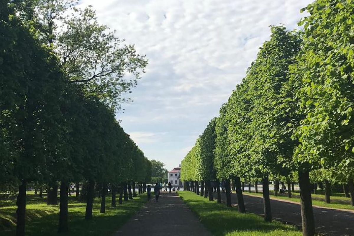 Экскурсия в Ораниенбаум. Большой Меншиковский дворец. Петергоф. Нижний Парк