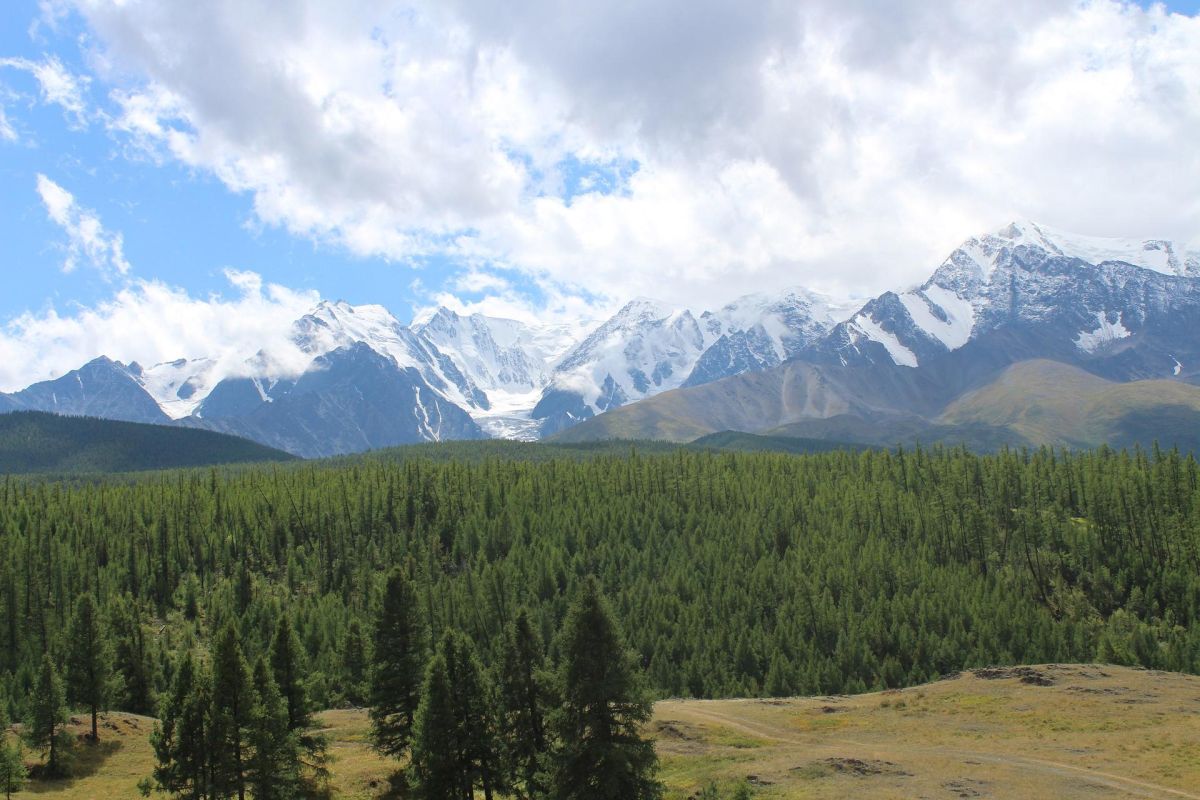 Почувствуй Алтай: 4 стихии