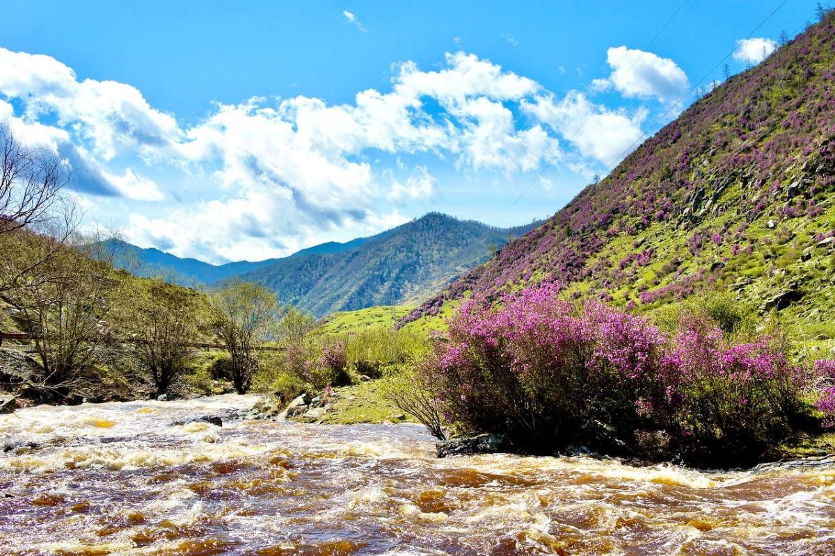 Почувствуй Алтай: 4 стихии