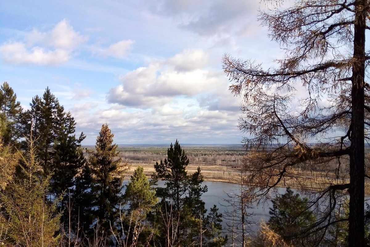 Сарапул гастрономический