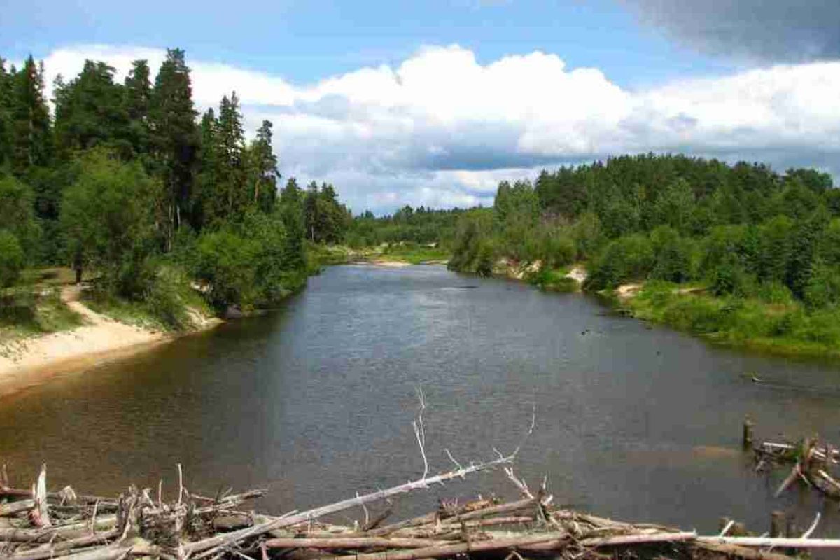 Керженский заповедник