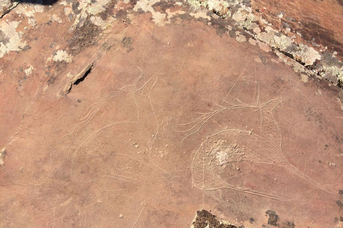 Почувствуй Алтай: 4 стихии